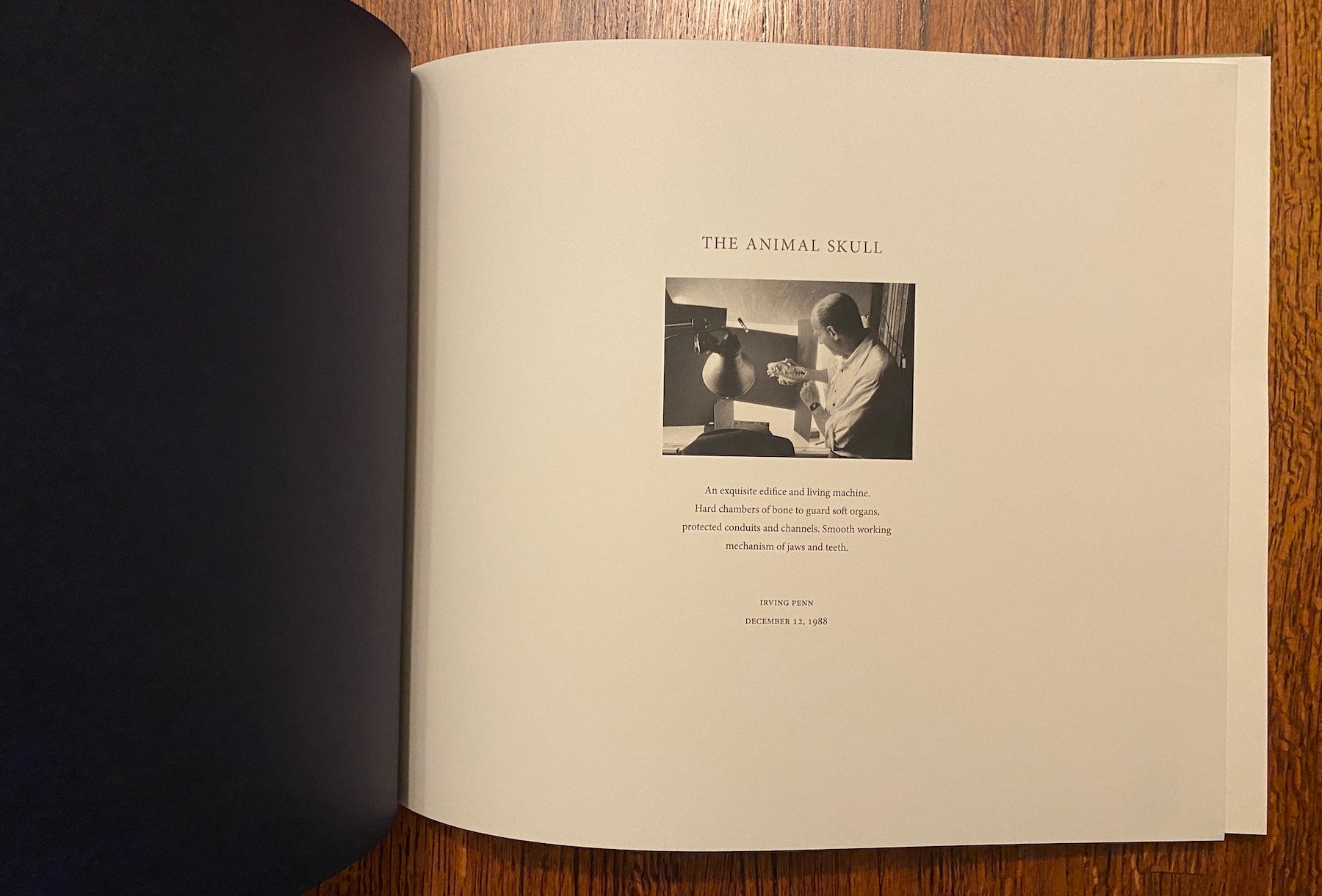 PHOTOBOOK . Cranium Architecture | Irving Penn | First Edition