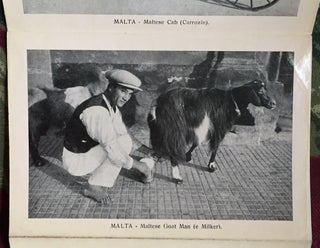 [Cover title]: Souvenir of Malta. 32 Views. [Panorama / Souvenir Album]
