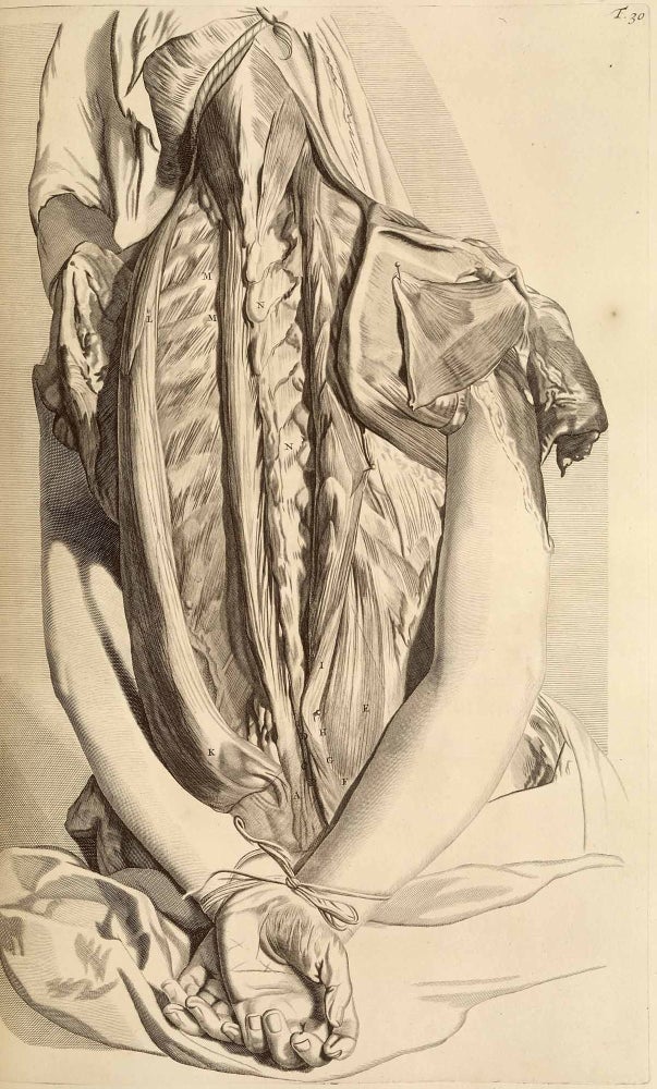 Item #334 Ontleding des menschelyken lichaams. Govard Bidloo, Gerard de Lairesse, anatomist, artist.