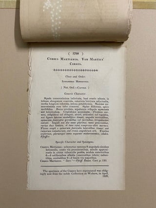 SIX original hand-colored flower prints from Curtis's Botanical Magazine 1840 - each one matted and with accompanying letterpress texts