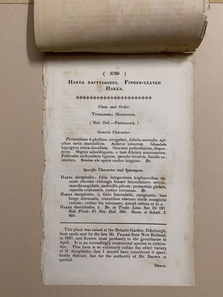 SIX original hand-colored flower prints from Curtis's Botanical Magazine 1840 - each one matted and with accompanying letterpress texts