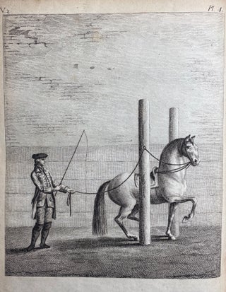 Item #3527 [HORSES]. The History and Art of Horsemanship. Richard Berenger