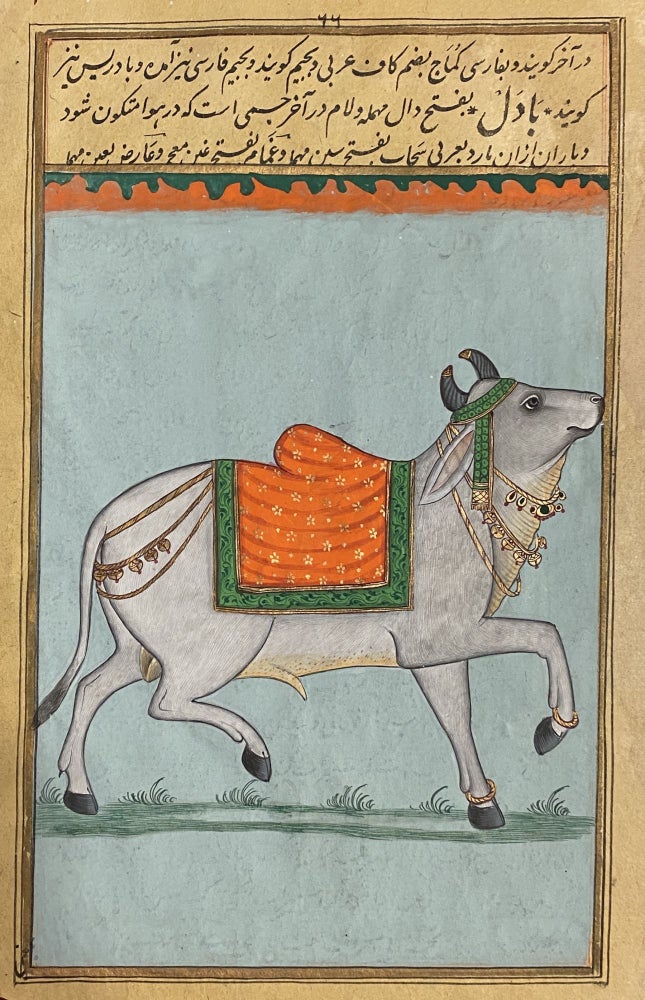 Item #4016 [INDIAN PAINTINGS ON MANUSCRIPT LEAVES: A BULL AND A CAMEL]. A pair of paintings in gold and color, overpainted on a manuscript of a Persian / Urdu dictionary. Anonymous Indian Artist.