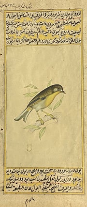 Item #4018 [INDIAN PAINTING ON MANUSCRIPT LEAF: WESTERN YELLOW WAGTAIL BIRD]. Painted in gold and...
