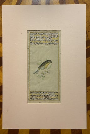[INDIAN PAINTING ON MANUSCRIPT LEAF: WESTERN YELLOW WAGTAIL BIRD]. Painted in gold and color, overpainted on a manuscript of Ibn Nafis "Mujiz al-Qanun"