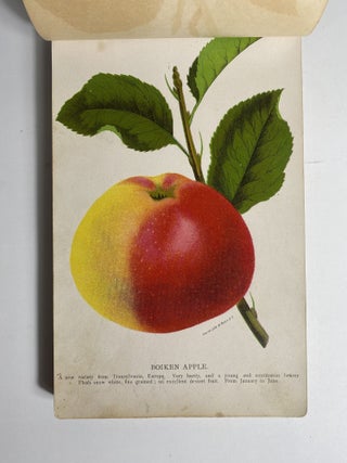 Item #4146 [AMERICAN CHROMOLITHOGRAPHY]. [Nurseryman's Guide / Sample Book / Fruit Seed...