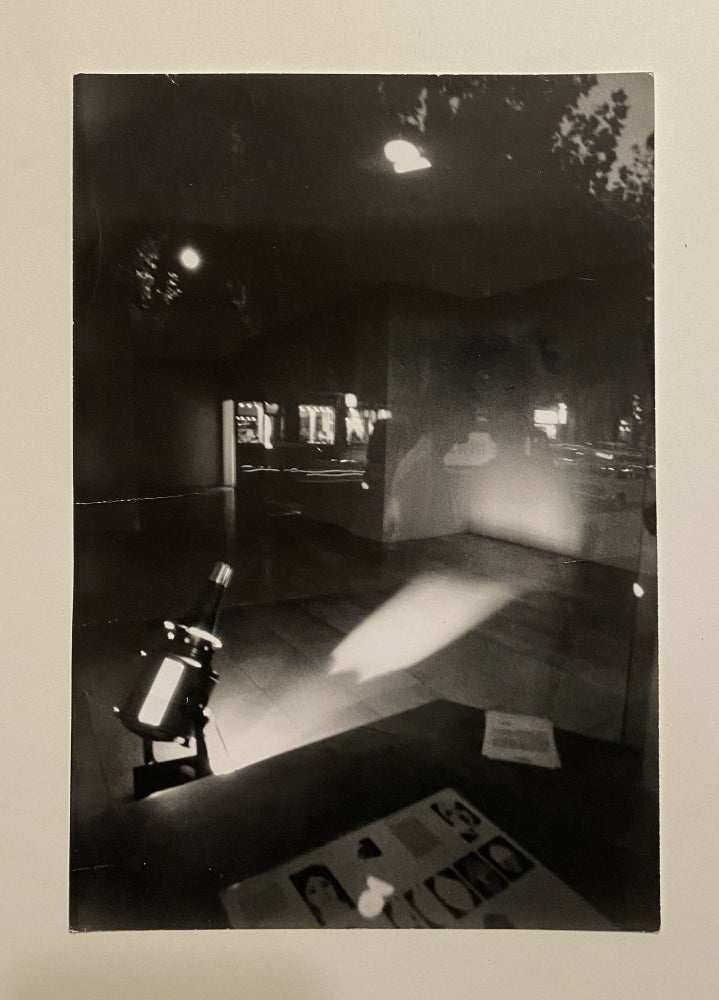 Alexandre Raysse ORIGINAL ART PHOTOGRAPH . Photo de l'exposition 1969 a la Galerie Iolas ...